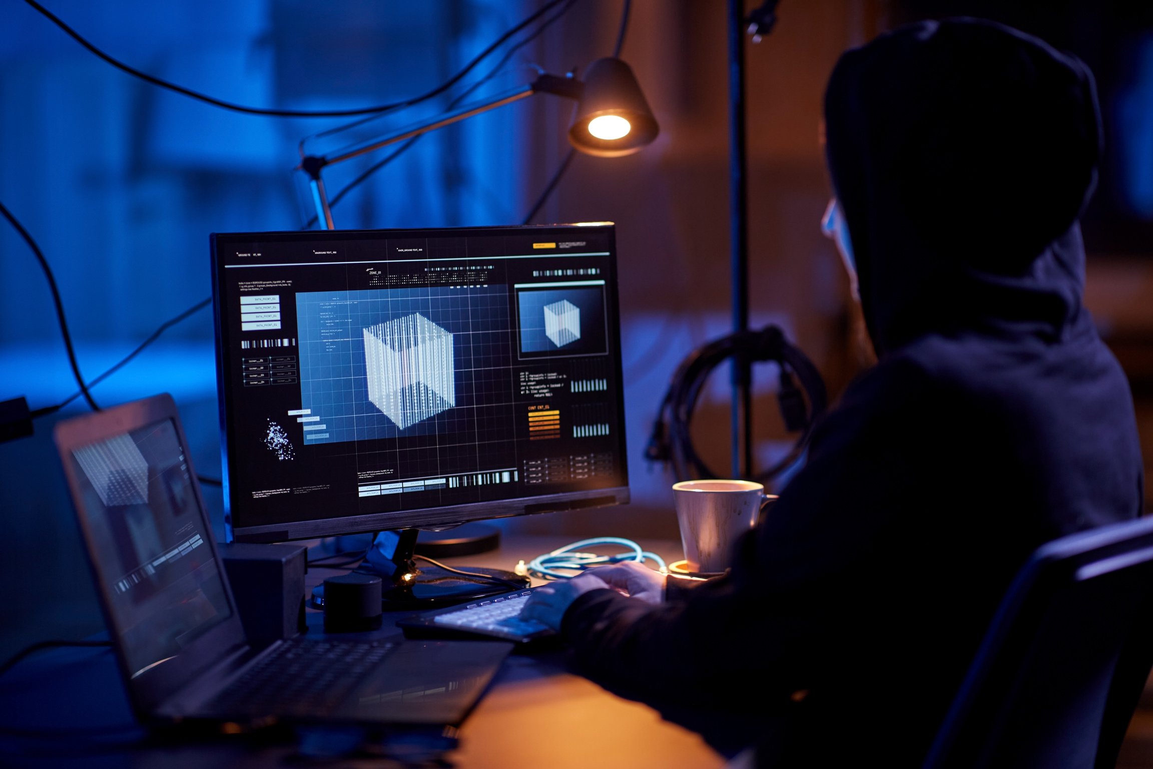 Programmer Working with 3D Graphics on Computer